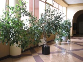 Diplomat ApartHotel - Kiev - 2