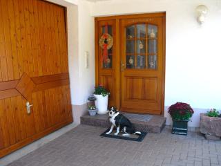 Am Stulzenhof apartment with balcony - Hofstetten - 6