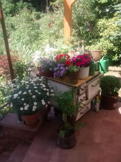 Casa la Collina delle Ginestre - Eberbach - 1