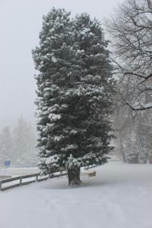 Greppon Blanc A2 - Nendaz - 3