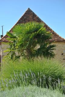 Le Domaine des Fargues - 2