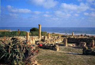Pergole - Realmonte - 2