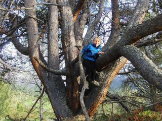 Strind Gard, Visdalssetra - 7