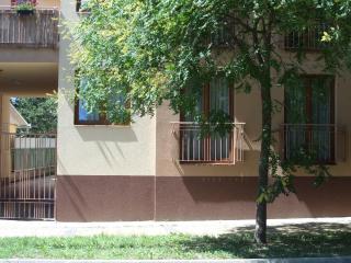 Rex Apartman - Hajdúszoboszló - 8