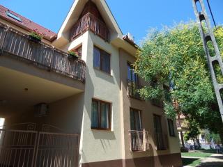 Rex Apartman - Hajdúszoboszló - 6