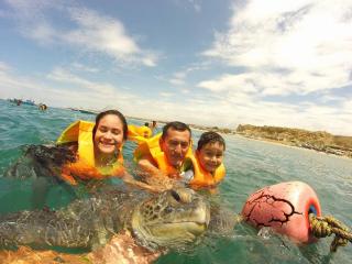 Las Tortuguitas Bungalows - 2