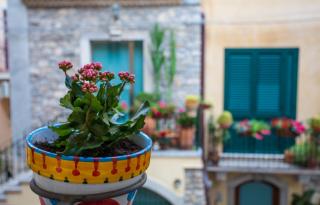 Casa Don Micio - Taormina - 9