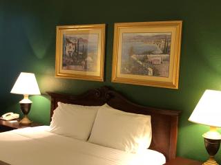 Ruskin Inn Tampa-Sun City Center - Ruskin - 4