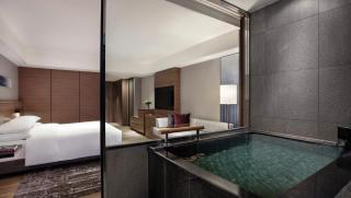 Nanki-Shirahama Marriott Hotel - Shirahama - 9