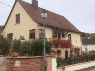 Gite Le Mandlé - Riquewihr - 9