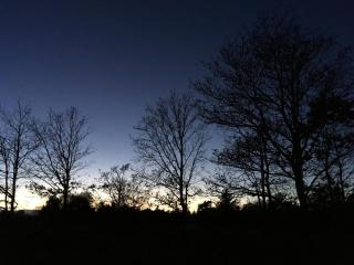 Hotel Hvide Klit - 4