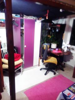 CityCentre room for 1 female persons - alternative plus 1 child - Frankfurt - 3