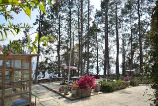 Deodar Homestay - 3