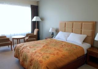 Albany Rosedale Motel - Auckland - 7