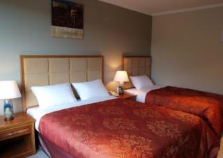 Albany Rosedale Motel - Auckland - 2