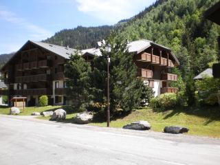Location Montagne - Les Contamines-Montjoie - 8