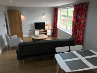 The Cothi Bridge Apartments - Carmarthen - 6