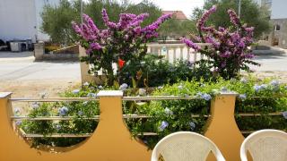 Marina - Biograd na Moru - 6