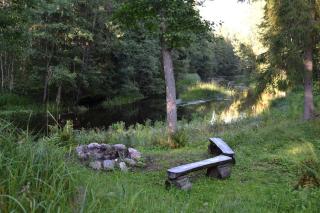 Saia Forest House - 2