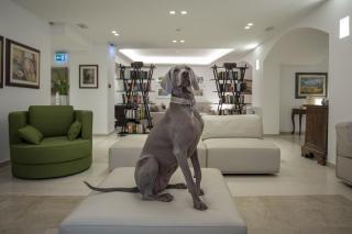 Hotel Principe - Rimini - 6
