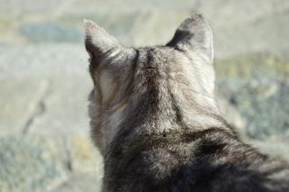 chambres et table d'hôtes du Péré - 9