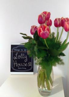 Lolly House 12 - La Spezia - 0