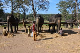Red Earth Kabini - 2