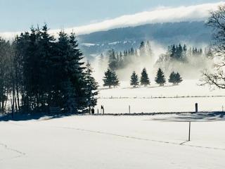 Auberge de l'Assesseur - Mont-Soleil - 8