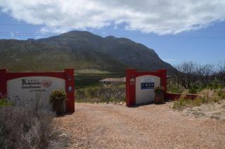 Kapensis Guesthouse (Pty) Ltd - Pringle Bay - 7