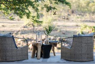 Chacma Bush Camp - 3