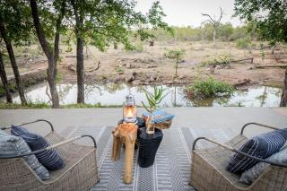 Chacma Bush Camp - Balule Game Reserve - 3