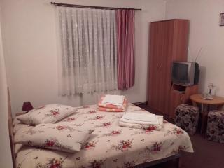Pension Piatra Craiului - Moieciu de Jos - 4