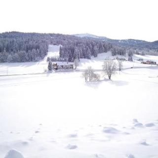 LOGIS Les Arobiers - Lamoura - 4