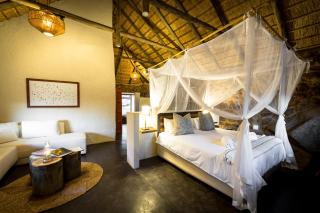 Chacma Bush Camp - Balule Game Reserve - 8