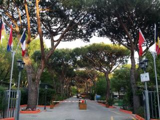 Camping Dal Pino - Marina di Massa - 0