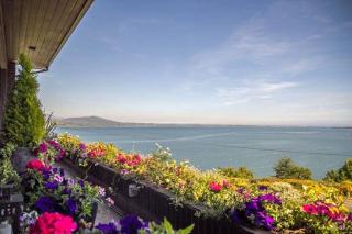 Wildwood Lodge - Carlingford - 1