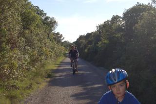 Gorgonia Suites in Verunic - 4