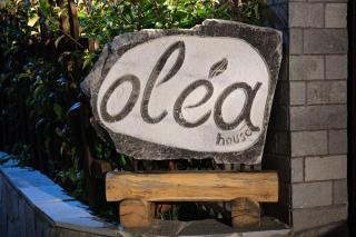 Olea House - Limenaria - 3