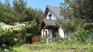 Domek w Sosnowym Lesie - Sulicice - 0