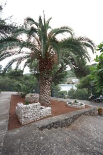 Hotel Sali - Sali - 5