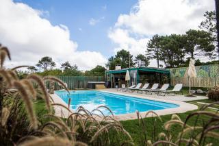 Entre Pinos Eco Box Apart - Punta del Este - 4