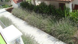 Apartments Niana with heated swimingpool - Okrug Donji - 4