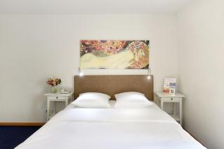 Hotel Hirschen - Zurigo - 8