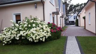 Liwia - Niechorze - 9