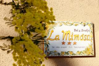 La Mimosa di Erice - Erice - 9