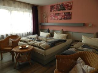 Hotel Dietz - 5