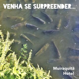 Muiraquitã Hotel - 4