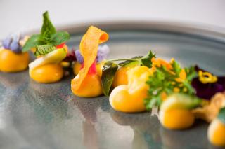 Résidence des Châteaux - Ottrott - 2