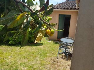 Grand studio - La Roquette-sur-Siagne - 0