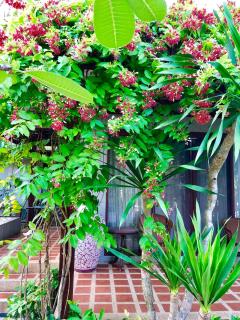 Bhumlapa Garden Resort - Bophut - 1